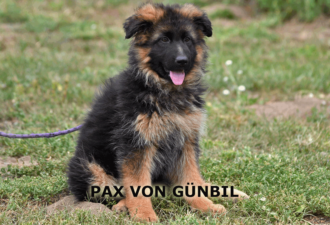 Pax training session, photo 4